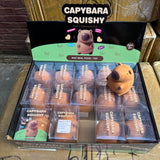 Crunchy Capybara Squishy 15/pk | A082